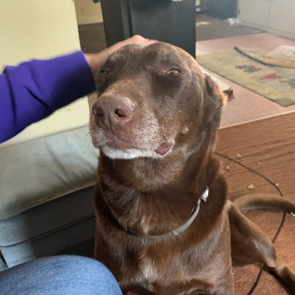 Meet your Posher, Carlos